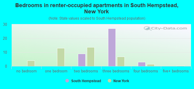 Bedrooms in renter-occupied apartments in South Hempstead, New York