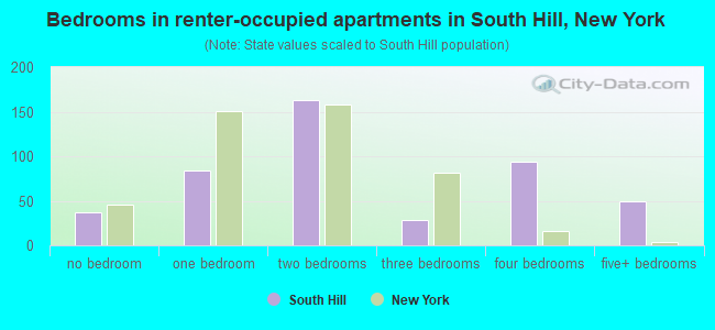 Bedrooms in renter-occupied apartments in South Hill, New York