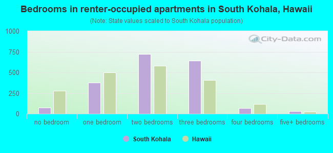 Bedrooms in renter-occupied apartments in South Kohala, Hawaii