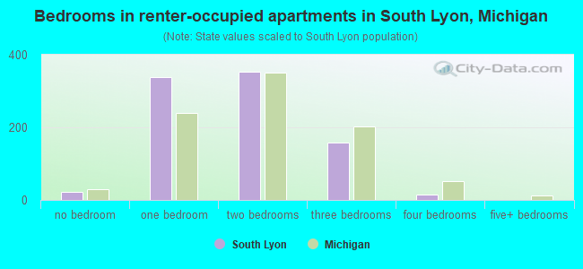 Bedrooms in renter-occupied apartments in South Lyon, Michigan