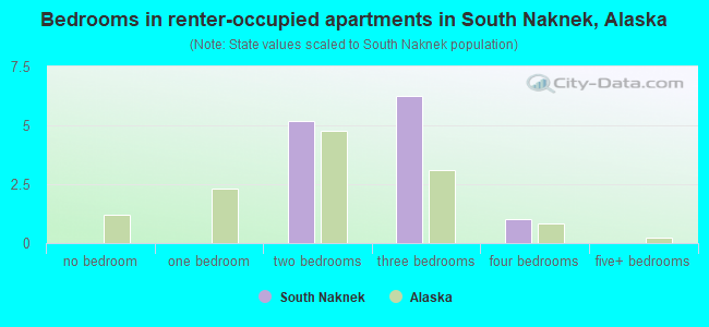 Bedrooms in renter-occupied apartments in South Naknek, Alaska