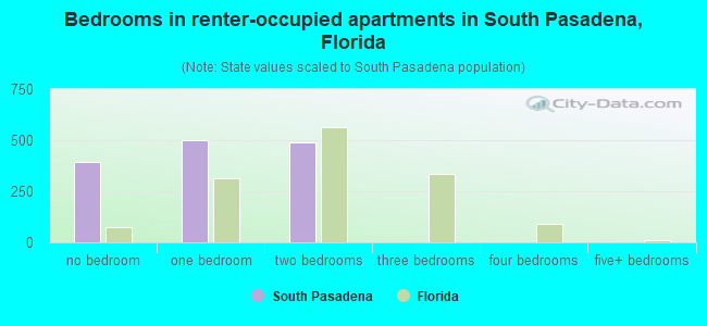 Bedrooms in renter-occupied apartments in South Pasadena, Florida