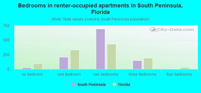 Bedrooms in renter-occupied apartments in South Peninsula, Florida