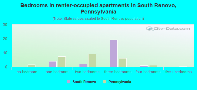 Bedrooms in renter-occupied apartments in South Renovo, Pennsylvania