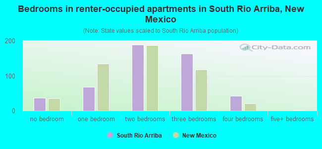 Bedrooms in renter-occupied apartments in South Rio Arriba, New Mexico