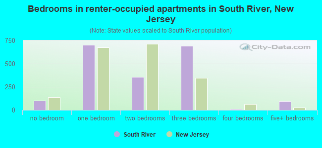 Bedrooms in renter-occupied apartments in South River, New Jersey