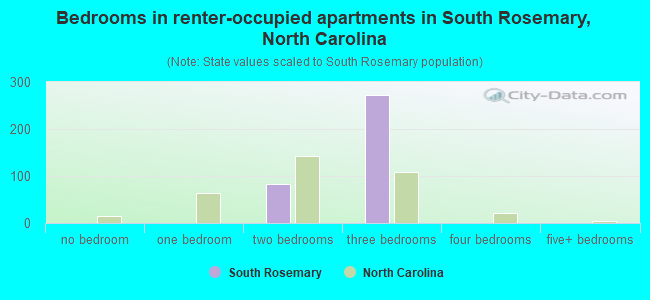 Bedrooms in renter-occupied apartments in South Rosemary, North Carolina