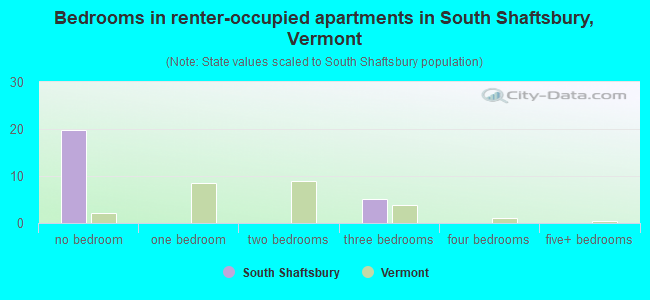 Bedrooms in renter-occupied apartments in South Shaftsbury, Vermont