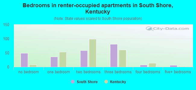 Bedrooms in renter-occupied apartments in South Shore, Kentucky