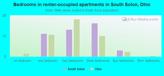 Bedrooms in renter-occupied apartments in South Solon, Ohio