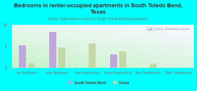 Bedrooms in renter-occupied apartments in South Toledo Bend, Texas