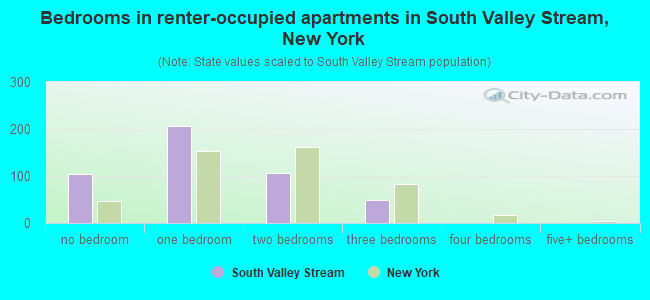 Bedrooms in renter-occupied apartments in South Valley Stream, New York