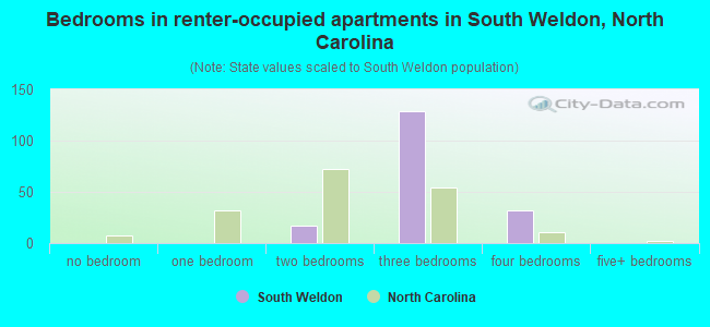 Bedrooms in renter-occupied apartments in South Weldon, North Carolina