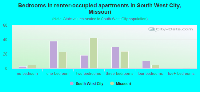 Bedrooms in renter-occupied apartments in South West City, Missouri