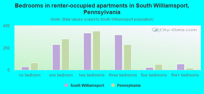 Bedrooms in renter-occupied apartments in South Williamsport, Pennsylvania