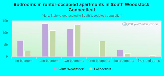 Bedrooms in renter-occupied apartments in South Woodstock, Connecticut