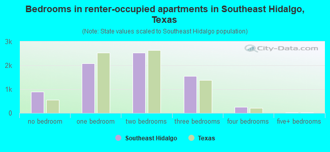 Bedrooms in renter-occupied apartments in Southeast Hidalgo, Texas