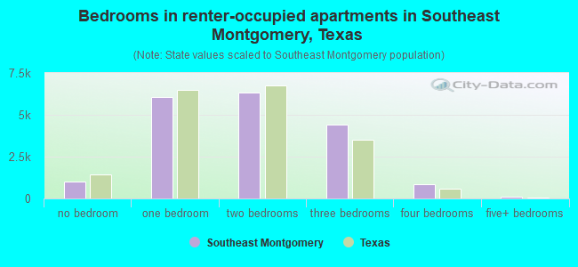Bedrooms in renter-occupied apartments in Southeast Montgomery, Texas