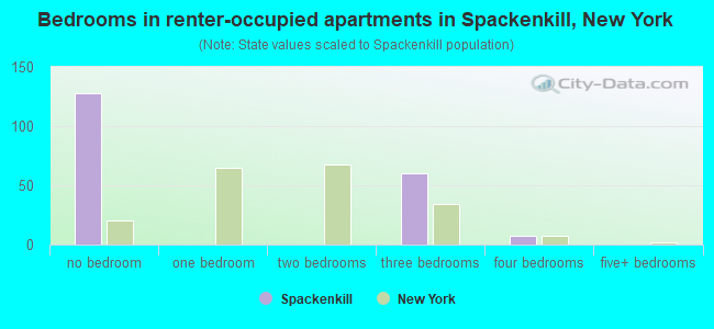 Bedrooms in renter-occupied apartments in Spackenkill, New York