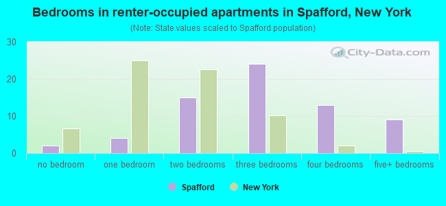 Bedrooms in renter-occupied apartments in Spafford, New York