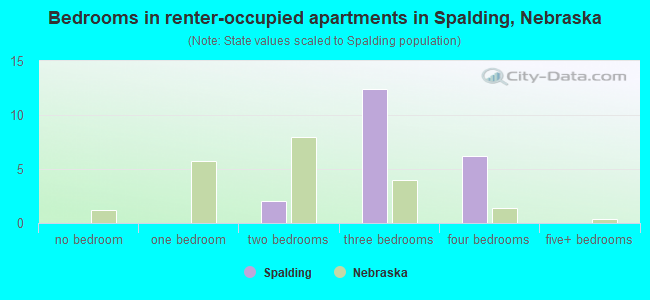 Bedrooms in renter-occupied apartments in Spalding, Nebraska