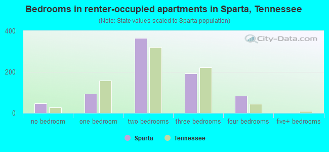 Bedrooms in renter-occupied apartments in Sparta, Tennessee