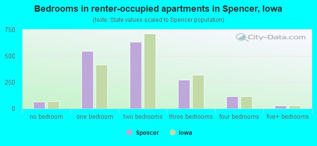 Bedrooms in renter-occupied apartments in Spencer, Iowa
