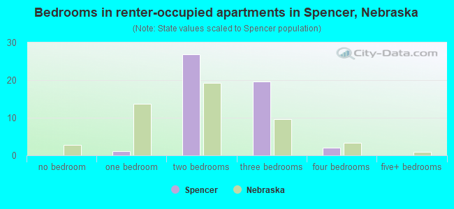 Bedrooms in renter-occupied apartments in Spencer, Nebraska