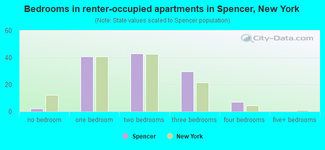 Bedrooms in renter-occupied apartments in Spencer, New York
