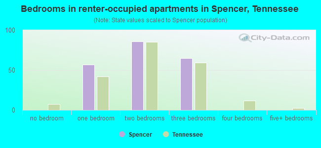 Bedrooms in renter-occupied apartments in Spencer, Tennessee