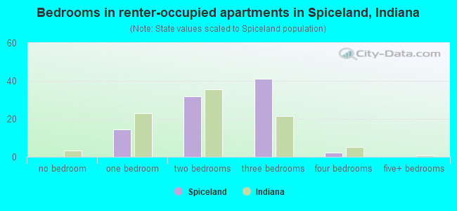 Bedrooms in renter-occupied apartments in Spiceland, Indiana