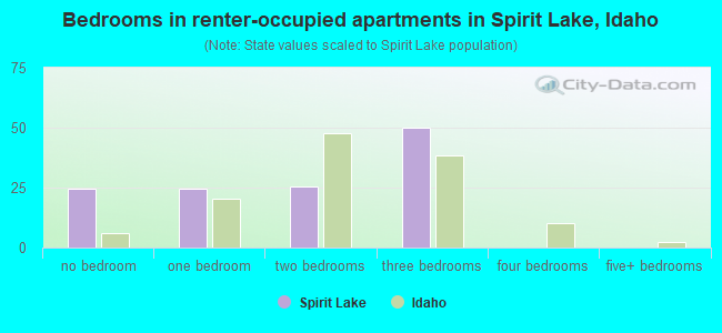 Bedrooms in renter-occupied apartments in Spirit Lake, Idaho