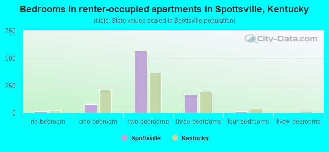 Bedrooms in renter-occupied apartments in Spottsville, Kentucky