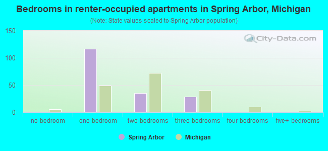 Bedrooms in renter-occupied apartments in Spring Arbor, Michigan