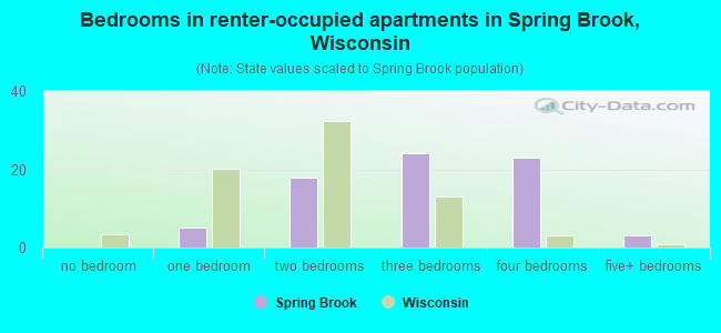 Bedrooms in renter-occupied apartments in Spring Brook, Wisconsin