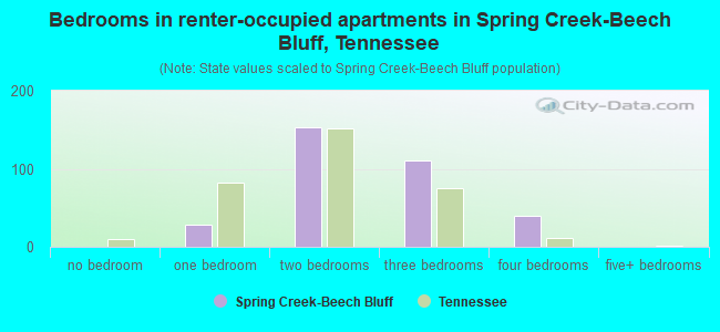 Bedrooms in renter-occupied apartments in Spring Creek-Beech Bluff, Tennessee
