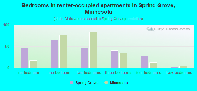 Bedrooms in renter-occupied apartments in Spring Grove, Minnesota