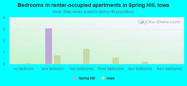 Bedrooms in renter-occupied apartments in Spring Hill, Iowa