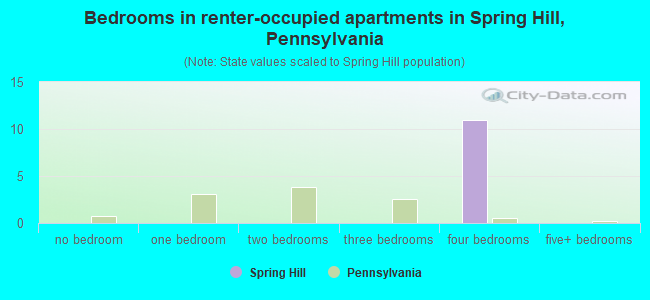 Bedrooms in renter-occupied apartments in Spring Hill, Pennsylvania