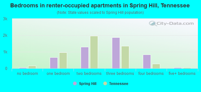 Bedrooms in renter-occupied apartments in Spring Hill, Tennessee