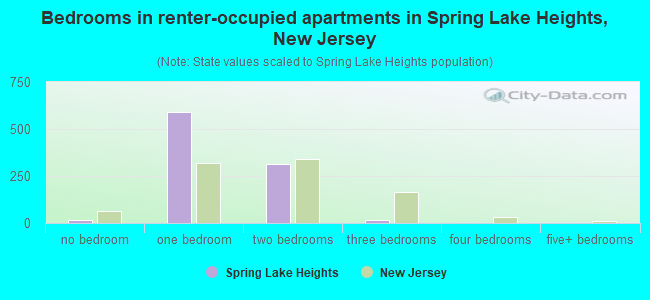 Bedrooms in renter-occupied apartments in Spring Lake Heights, New Jersey