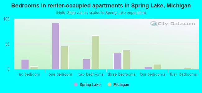 Bedrooms in renter-occupied apartments in Spring Lake, Michigan