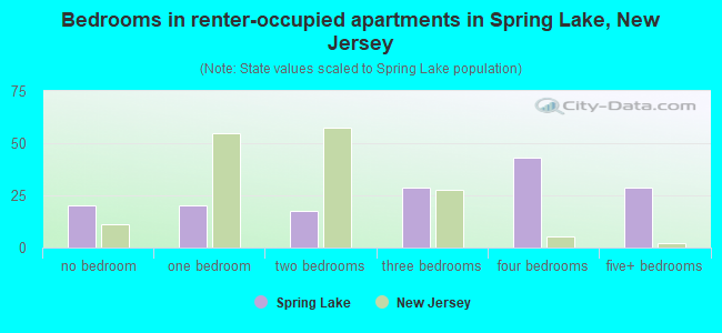 Bedrooms in renter-occupied apartments in Spring Lake, New Jersey