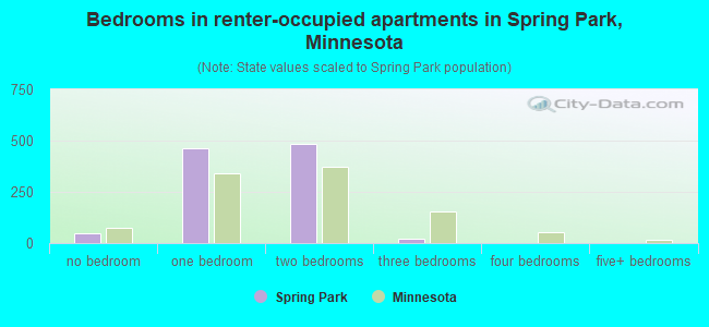 Bedrooms in renter-occupied apartments in Spring Park, Minnesota