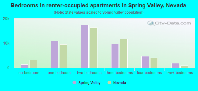 Bedrooms in renter-occupied apartments in Spring Valley, Nevada