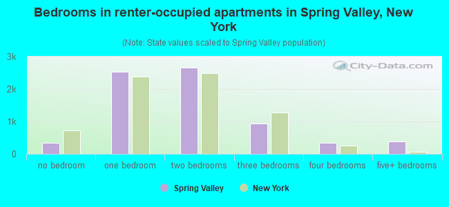Bedrooms in renter-occupied apartments in Spring Valley, New York