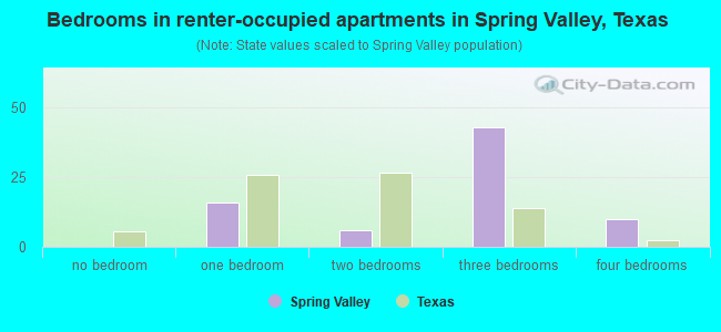 Bedrooms in renter-occupied apartments in Spring Valley, Texas