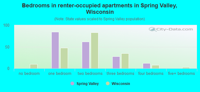 Bedrooms in renter-occupied apartments in Spring Valley, Wisconsin