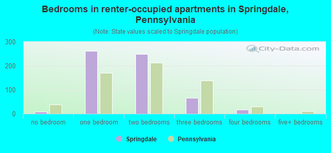 Bedrooms in renter-occupied apartments in Springdale, Pennsylvania