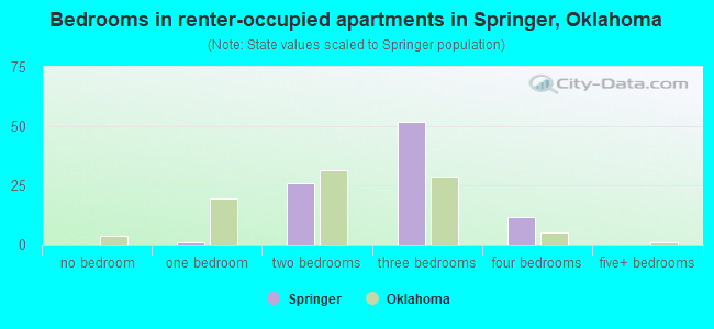 Bedrooms in renter-occupied apartments in Springer, Oklahoma